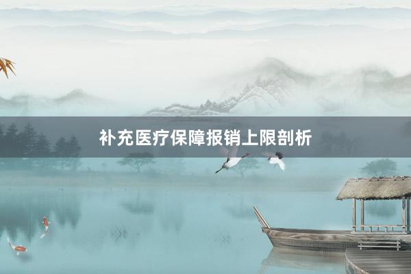 补充医疗保障报销上限剖析