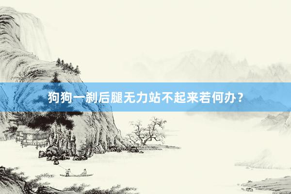 狗狗一刹后腿无力站不起来若何办？