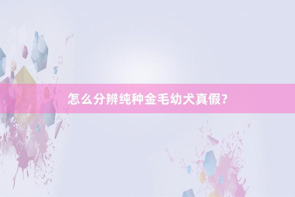 怎么分辨纯种金毛幼犬真假？