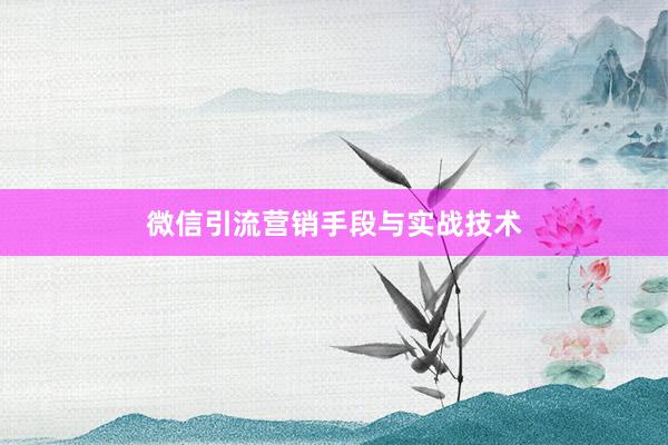 微信引流营销手段与实战技术